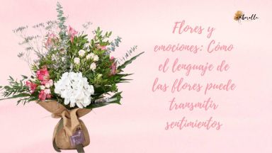 Flores y emociones: Cómo el lenguaje de las flores puede transmitir sentimientos