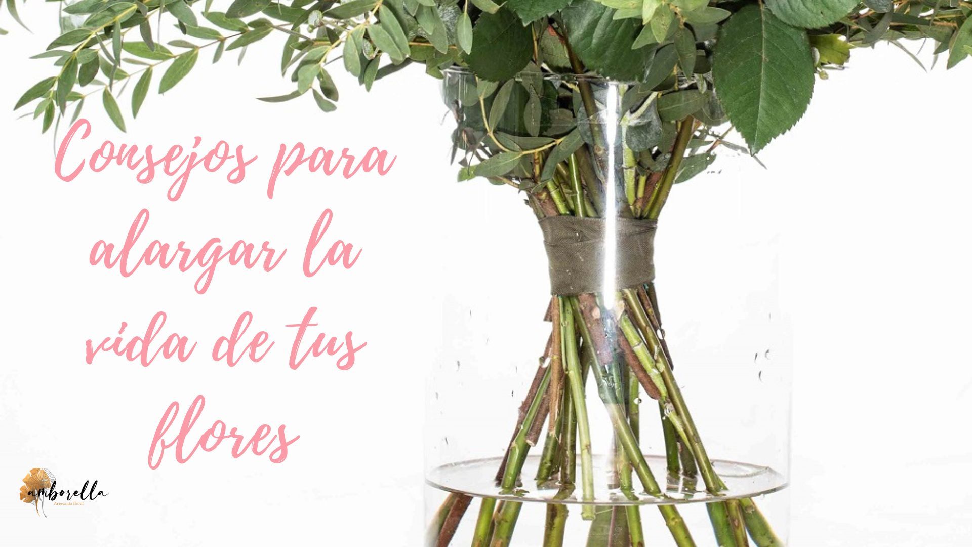 Alarga San Valent&iacute;n con estos consejos para cuidar de tus Flores a domicilio Madrid - ▷Florister&iacute;a Madrid-Flores a domicilio Madrid▷Florister&iacute;a Amborella