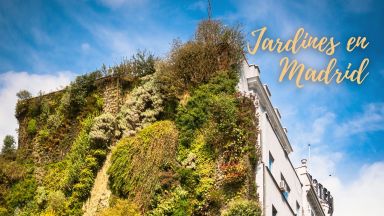 Descubre los Jardines M&aacute;s Encantadores y  florister&iacute;a en Madrid