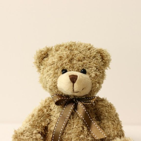 Osito de Peluche