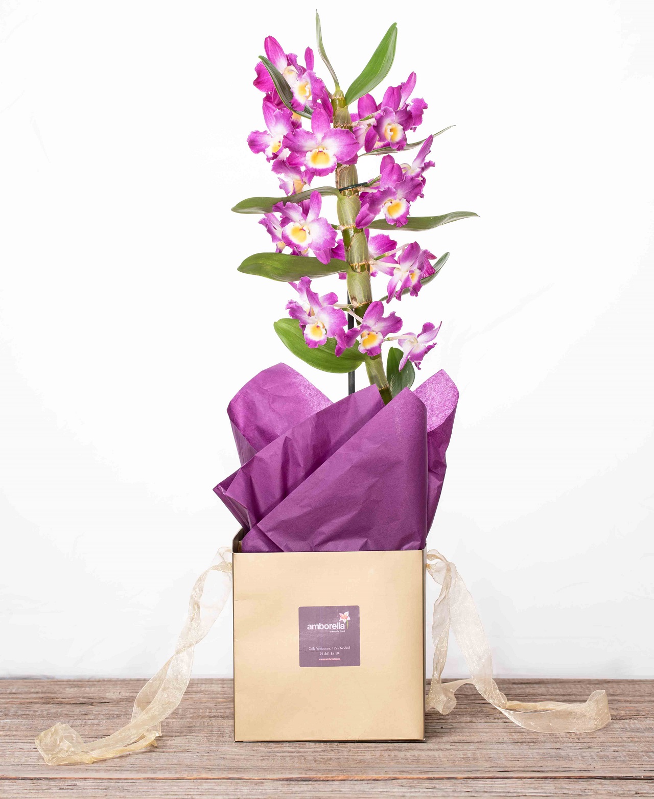 Comprar orquídea en bolsa para regalo online